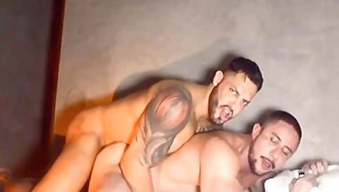 Brazilian Bodybuilders Plow
