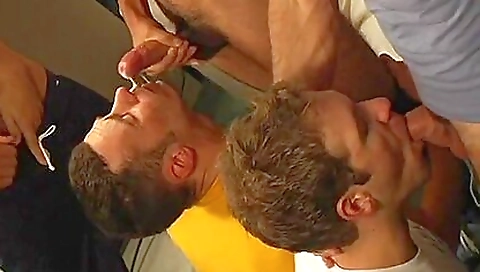 Stunning Boyfriend Is Standing On The Knees And Suck